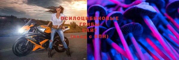 ГАЛЛЮЦИНОГЕННЫЕ ГРИБЫ Куйбышев