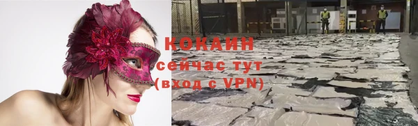 ГАЛЛЮЦИНОГЕННЫЕ ГРИБЫ Куйбышев