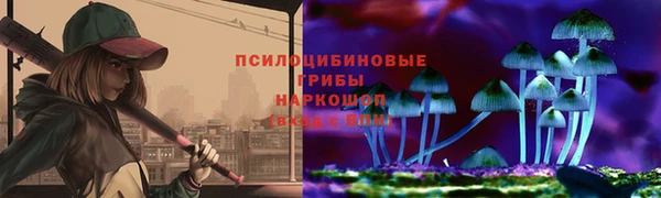 ГАЛЛЮЦИНОГЕННЫЕ ГРИБЫ Куйбышев