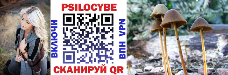Псилоцибиновые грибы ЛСД  хочу   Ессентукская 